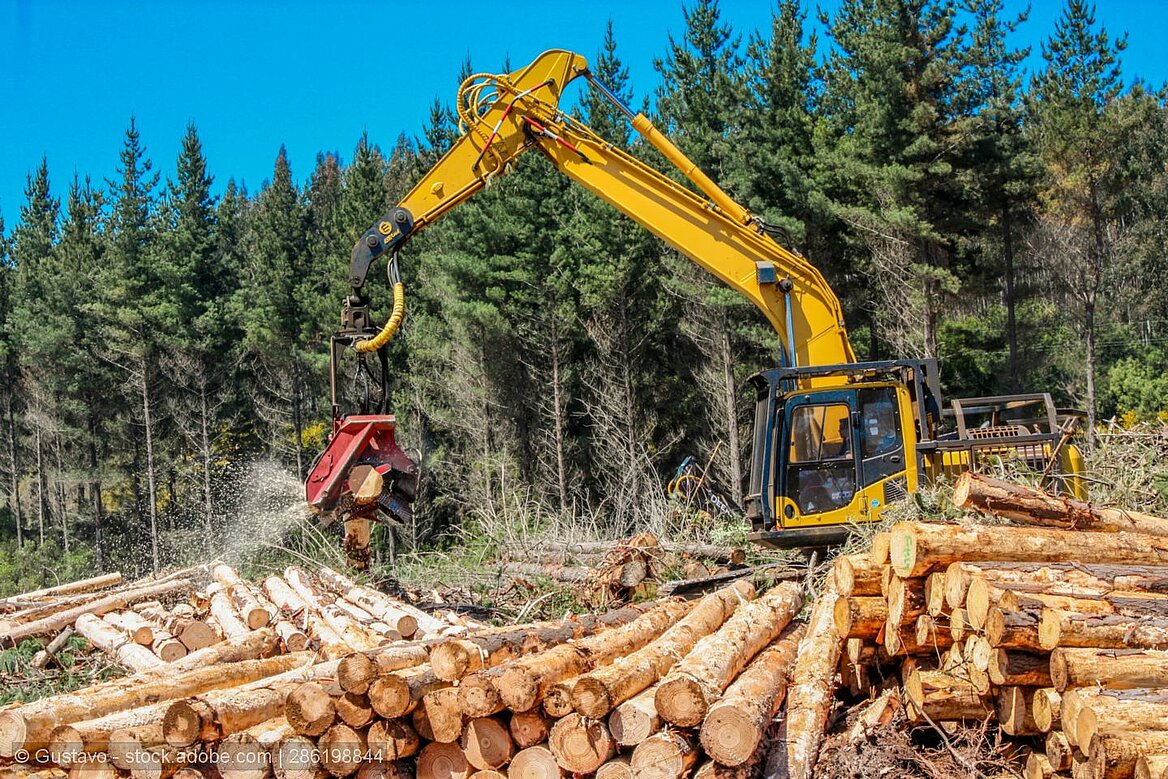 Canada's pulp and paper mills are feeling the impacts of sawmill closures and reduced cutting activity.