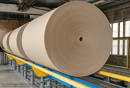 Progroup mulls over new containerboard mill in Germany
