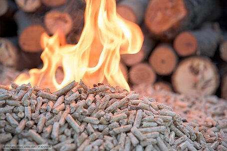 Norske Skog to ramp up wood pellet production capacity