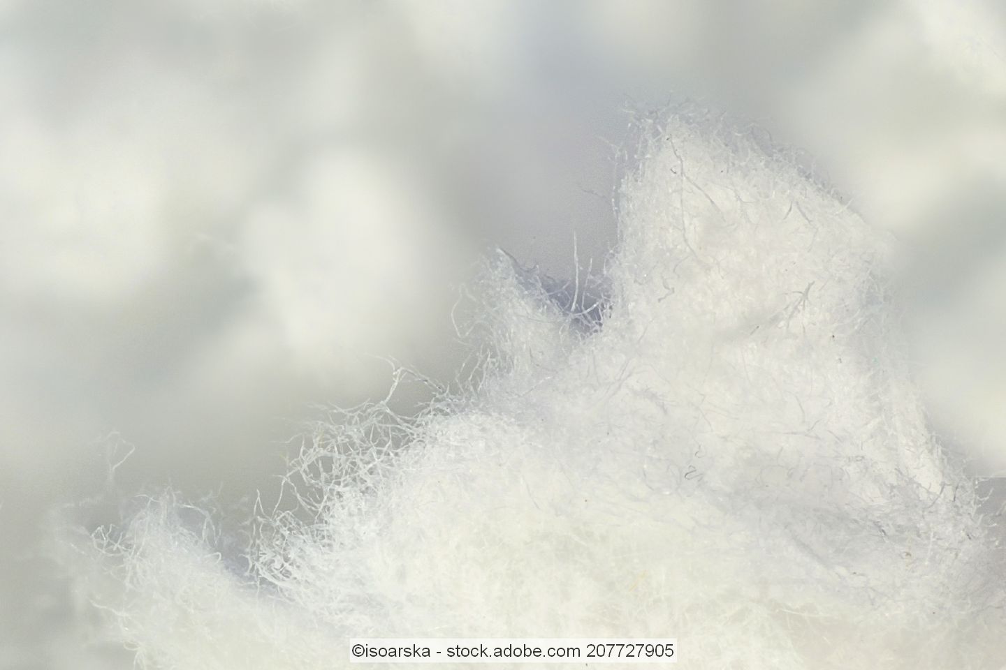 Cellulose fibres